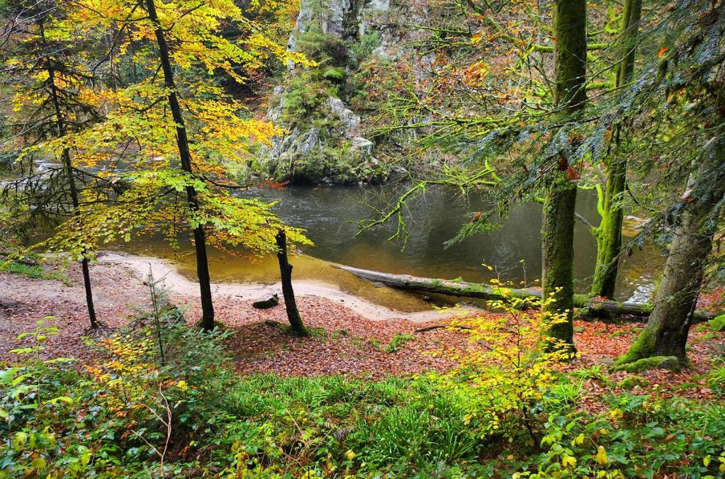 Meuble Pour 5 Pers - Hautes Vosges Thiefosse Екстер'єр фото